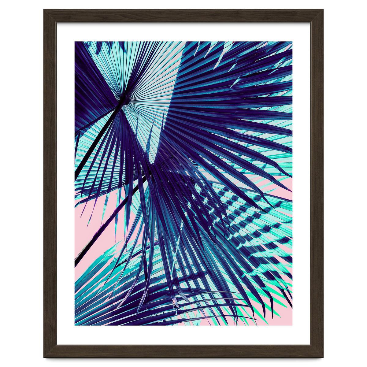 Palm leaf on the beach