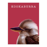 Kookaburra (Print Only)