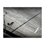 Cyclist (Print Only) thumbnail