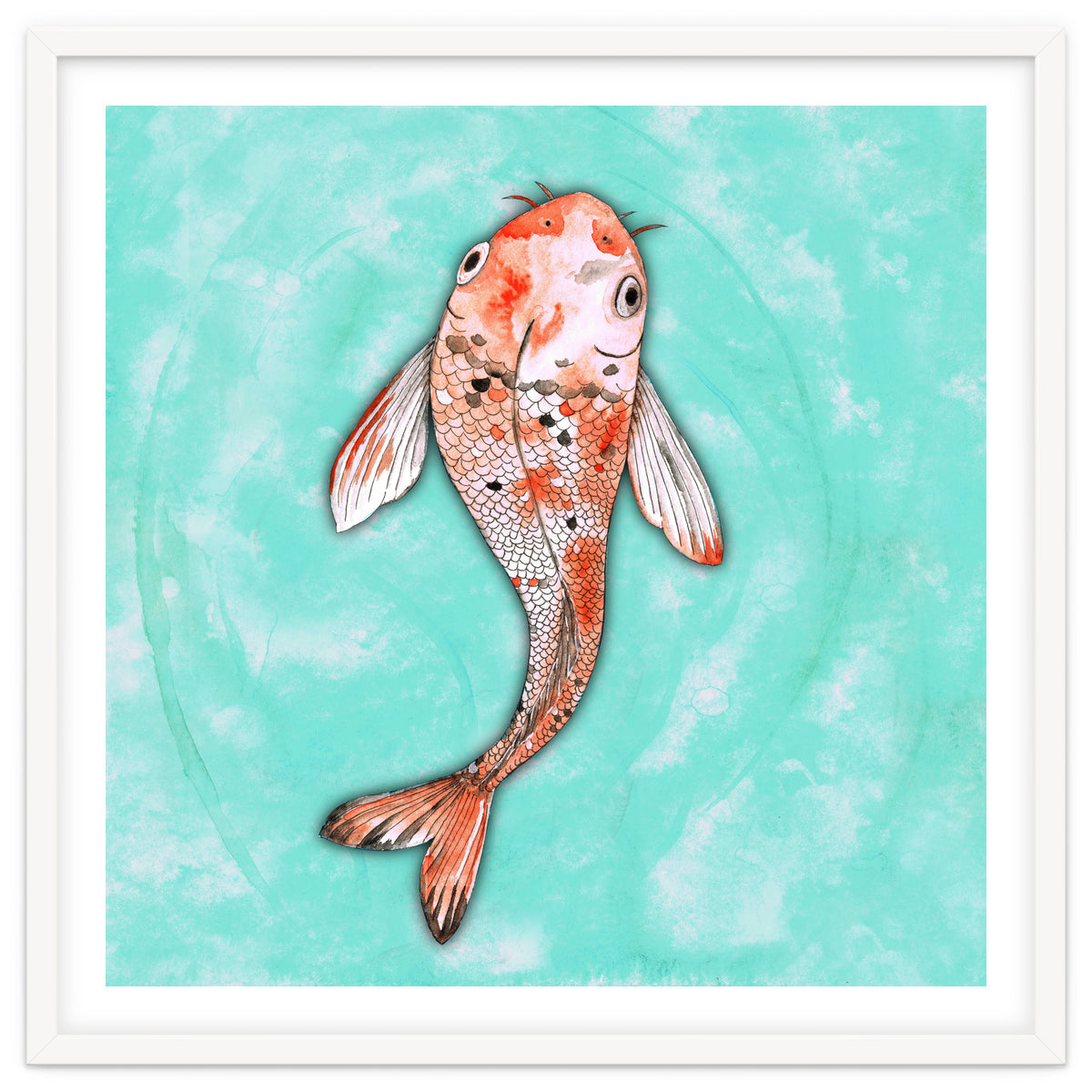 Koi fish