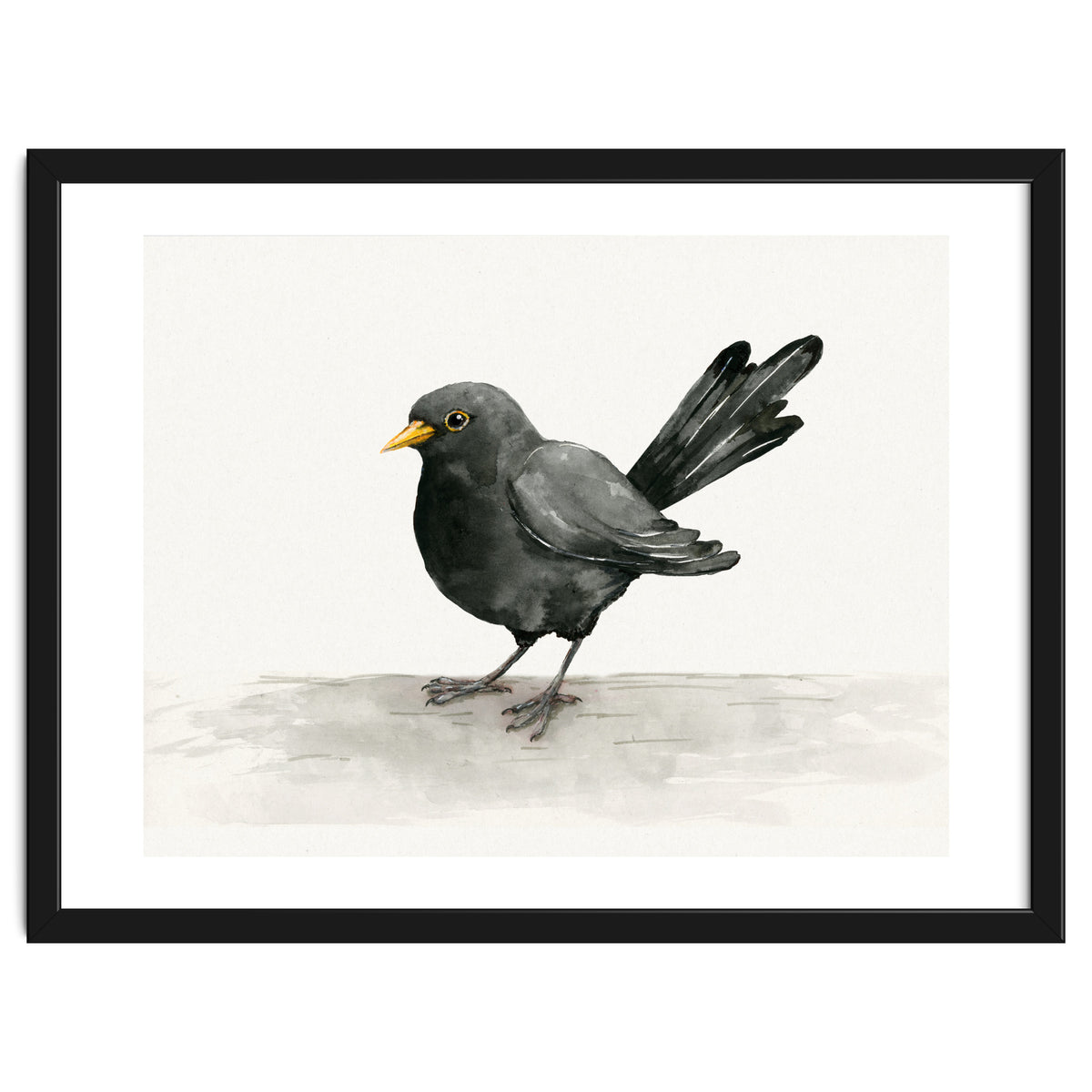 Blackbird ink drawing