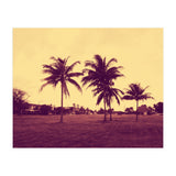 Palm Trees (Print Only) thumbnail