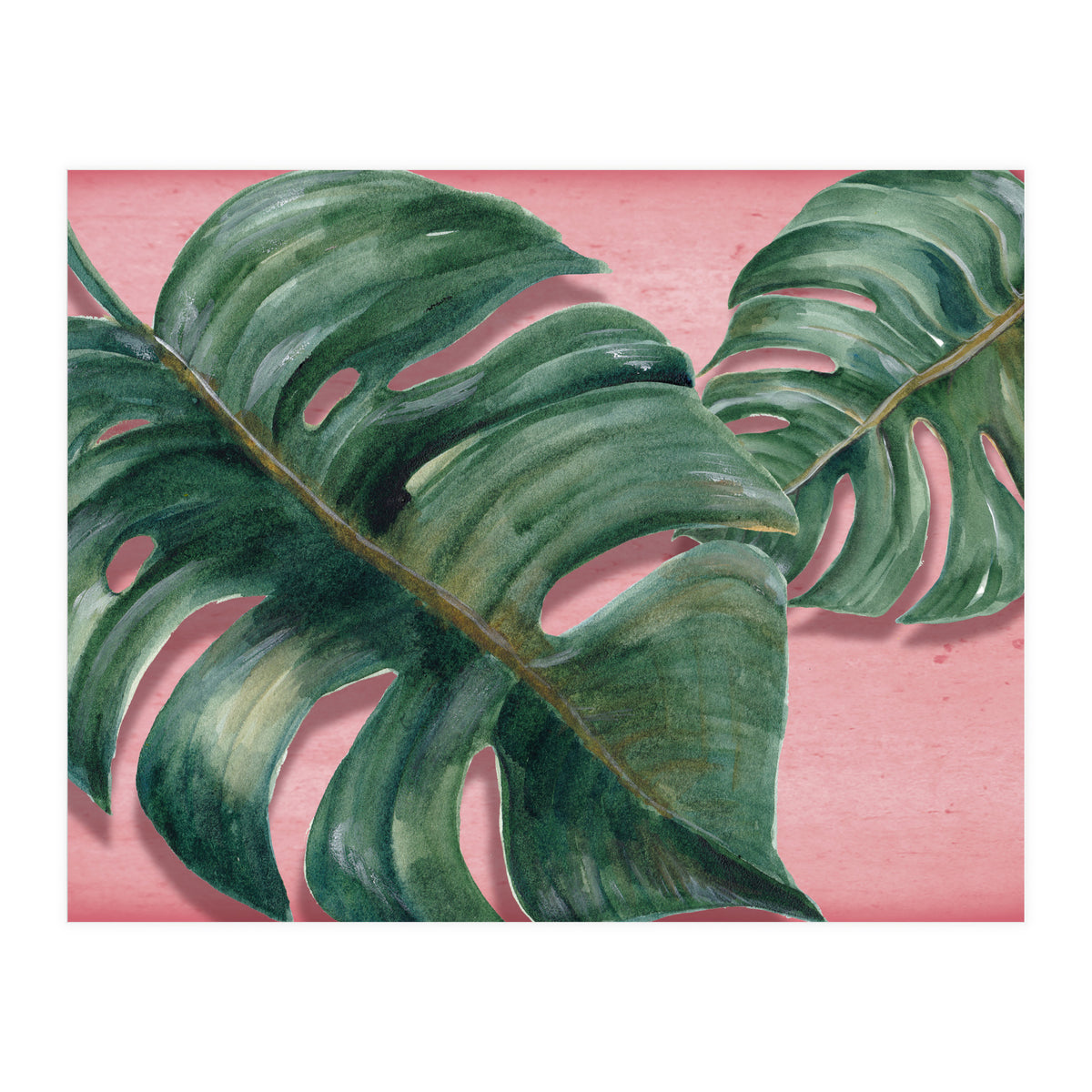 Monstera Leaf (Print Only)