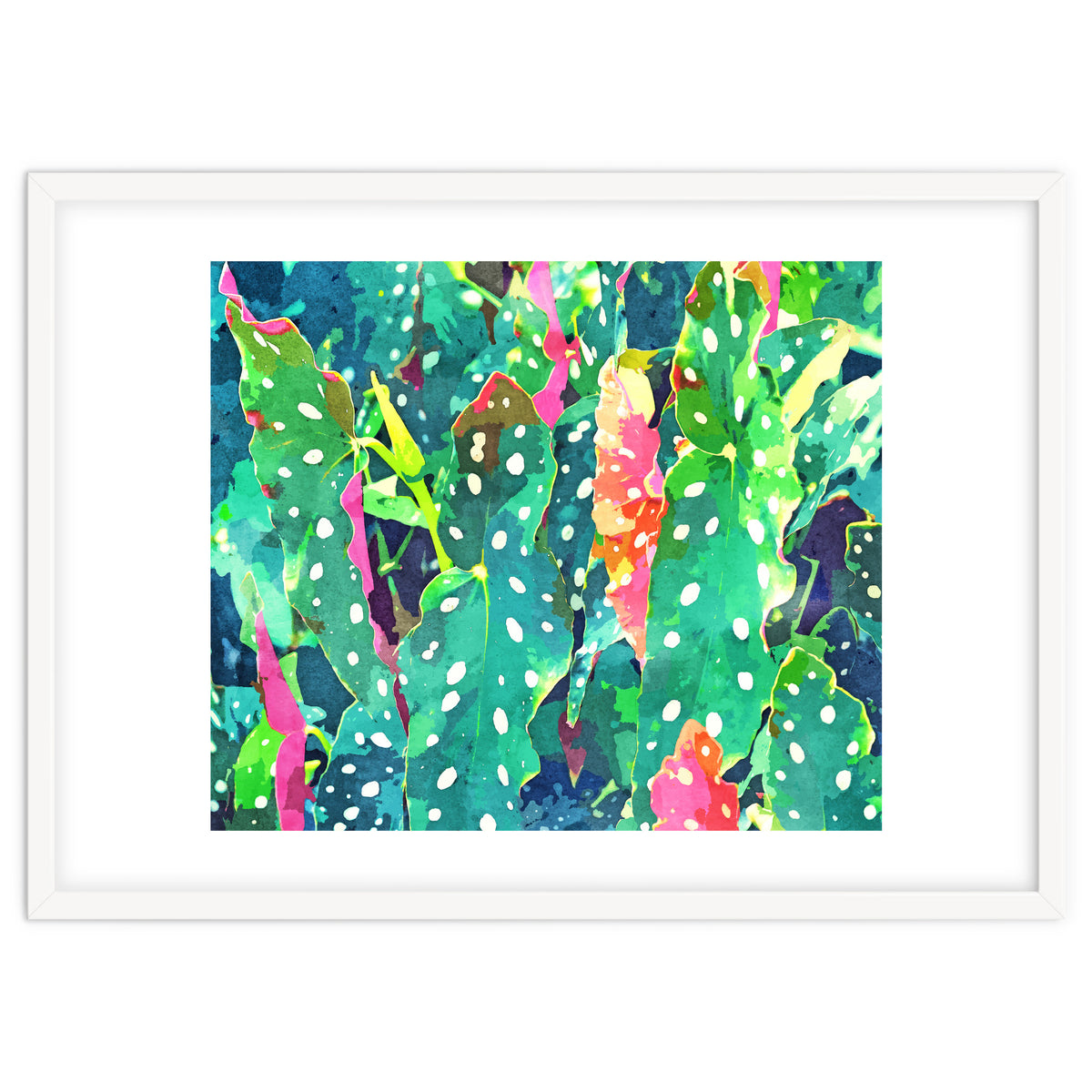 The Polka Dots Plant