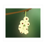 Cherry Blossom Art (Print Only) thumbnail