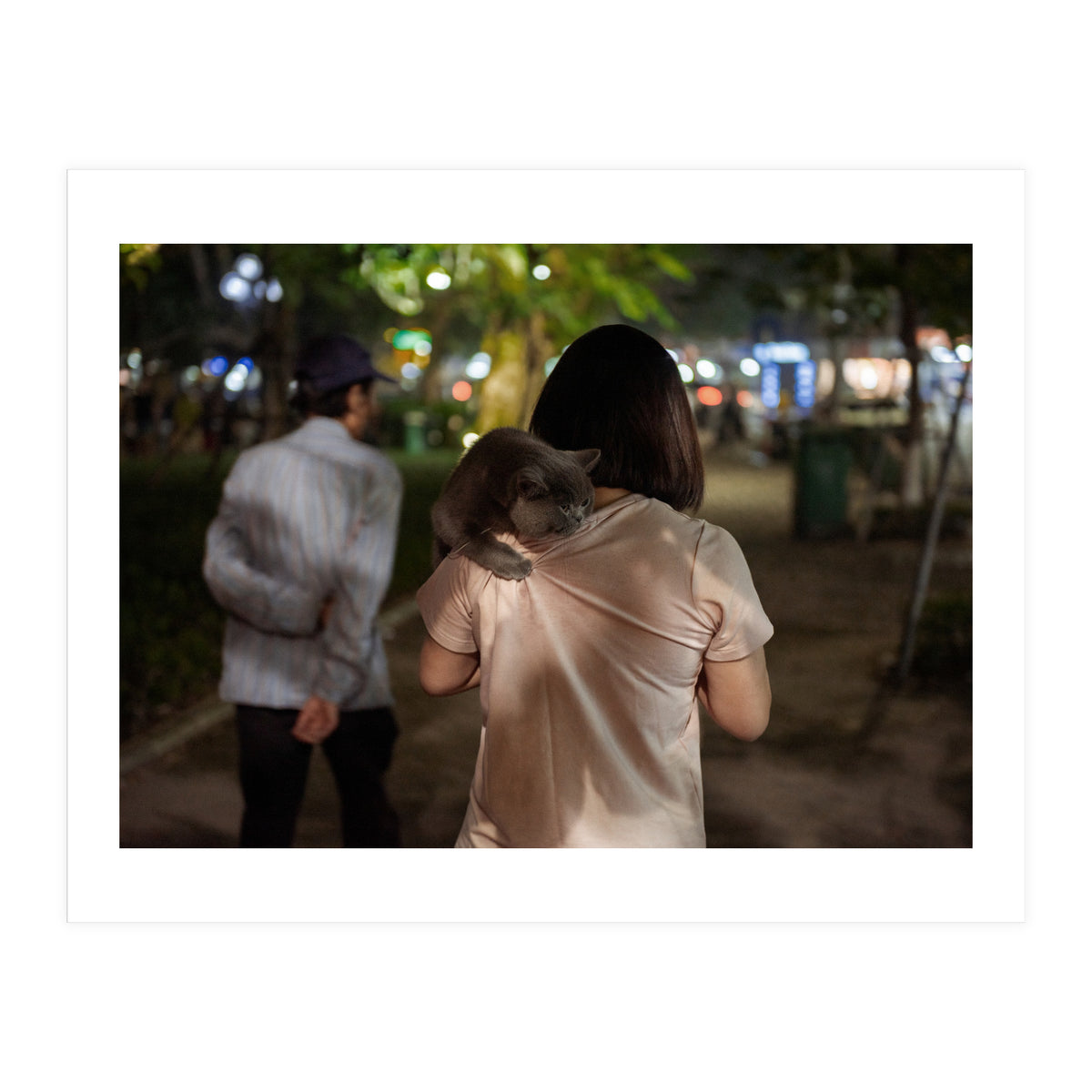 Cats of Vietnam (Print Only)