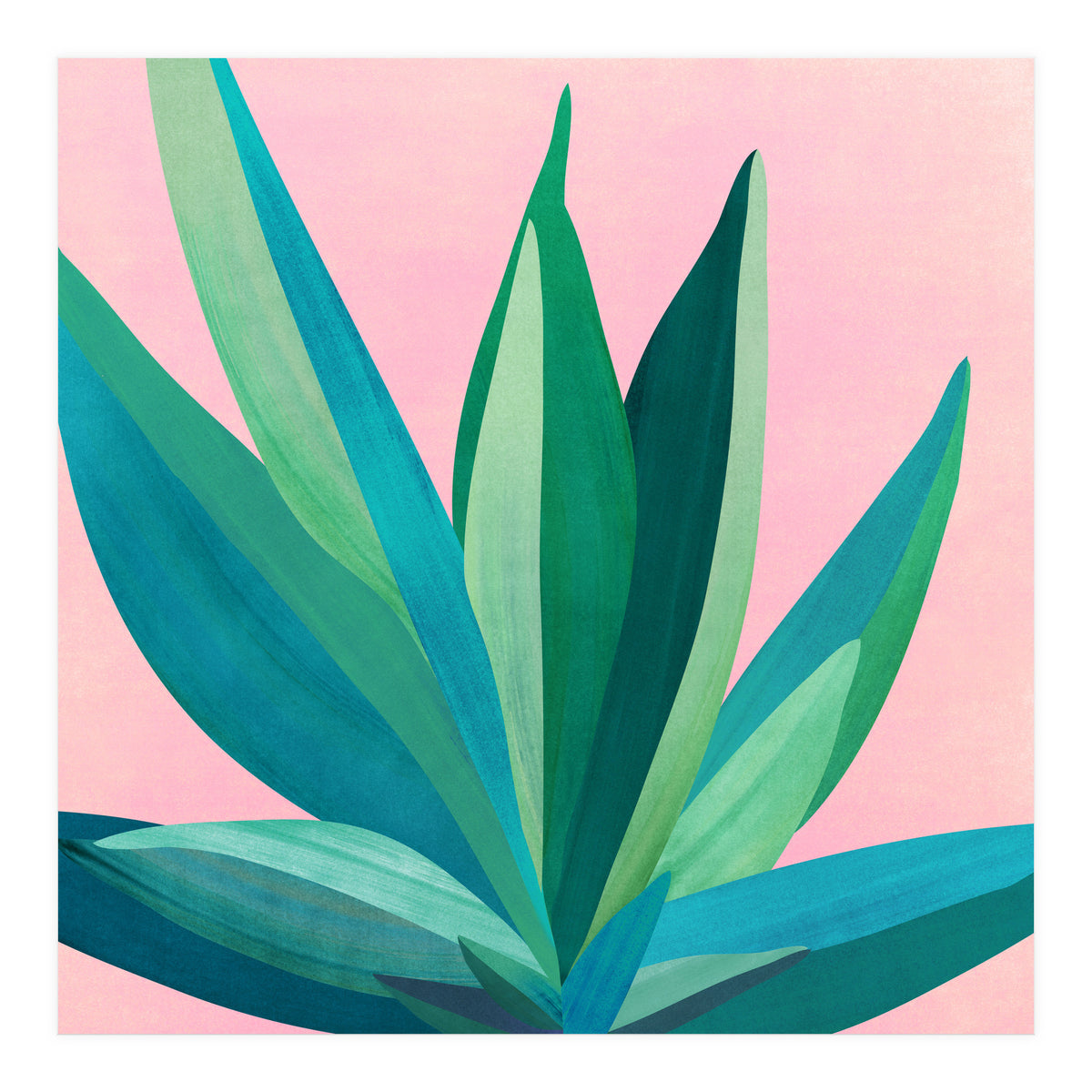 Southwest Agave (Print Only)