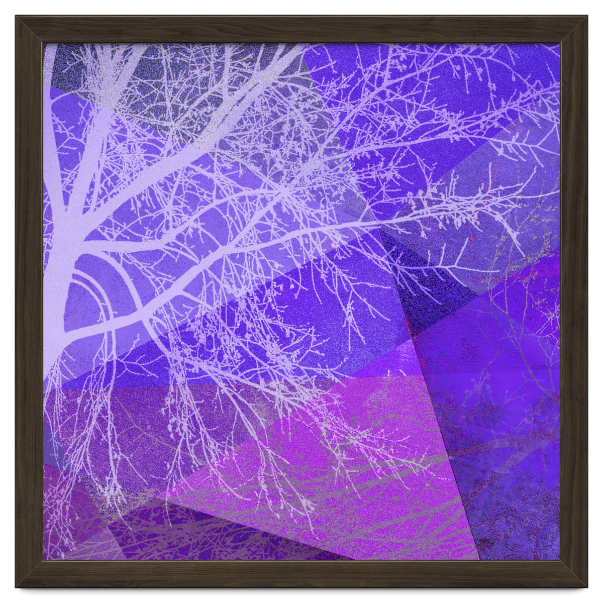 P19-D2 Trees and Triangles