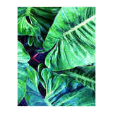 Another Botanical (Print Only) thumbnail