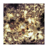 Demolition (Print Only) thumbnail