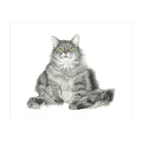 Fatcatred (Print Only) thumbnail
