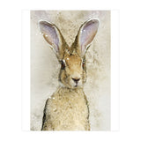 Harriet Hare (Print Only) thumbnail