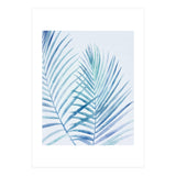 Coastal Palm Fronds (Print Only) thumbnail
