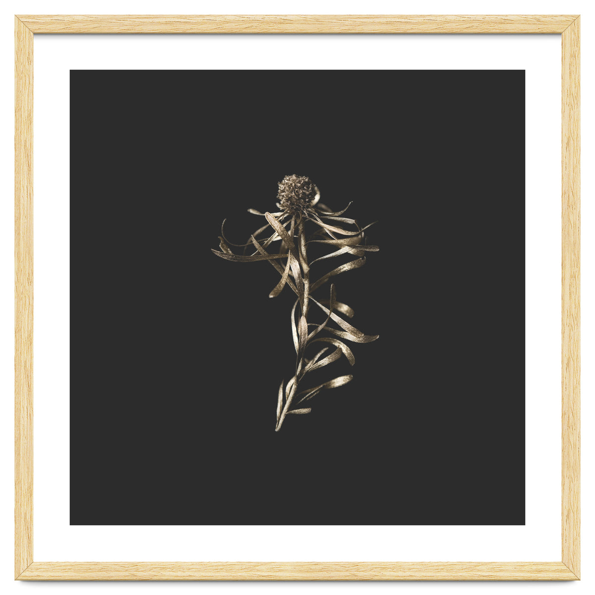 Magical Golden Fynbos - Square