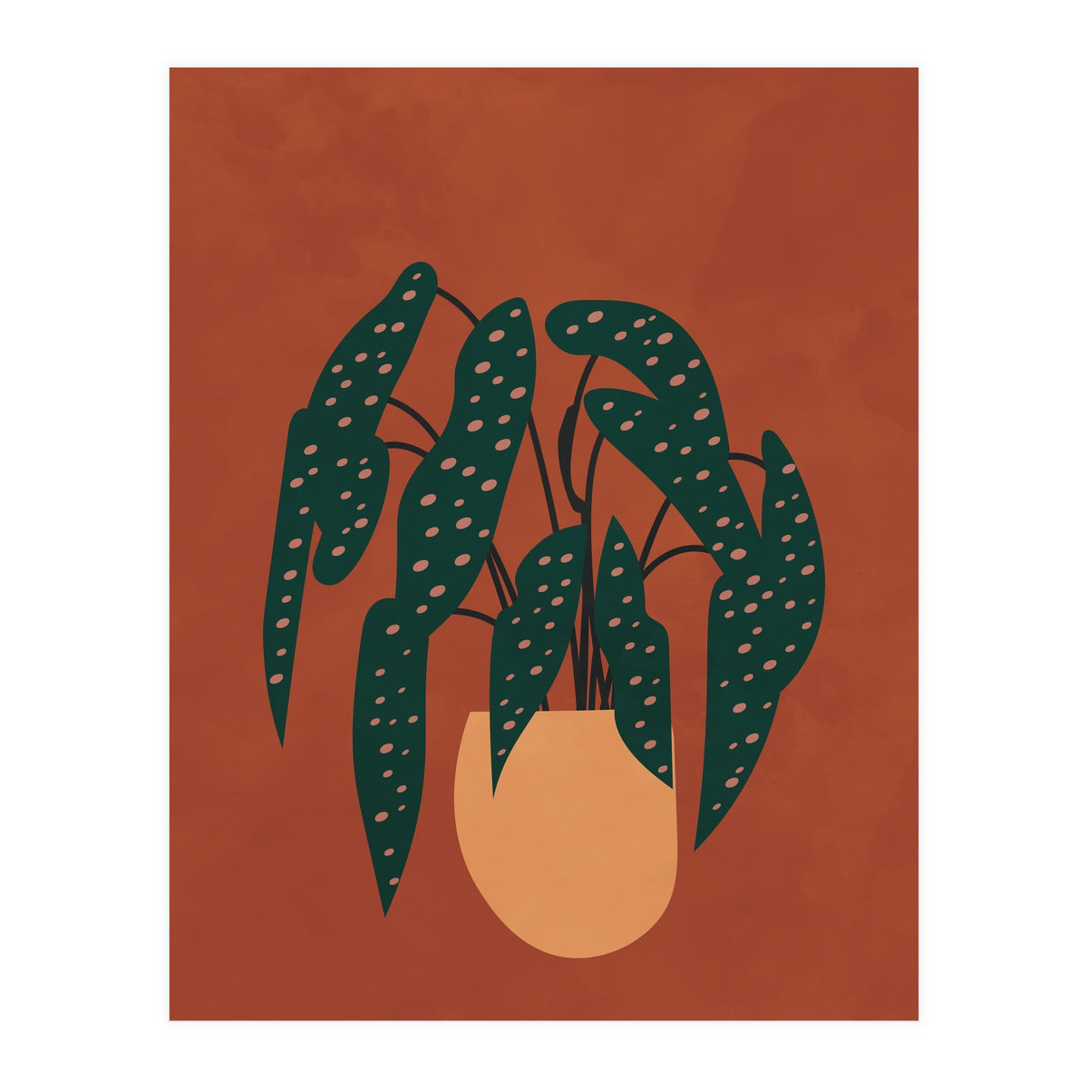 Boho Terracotta Begonia (Print Only)