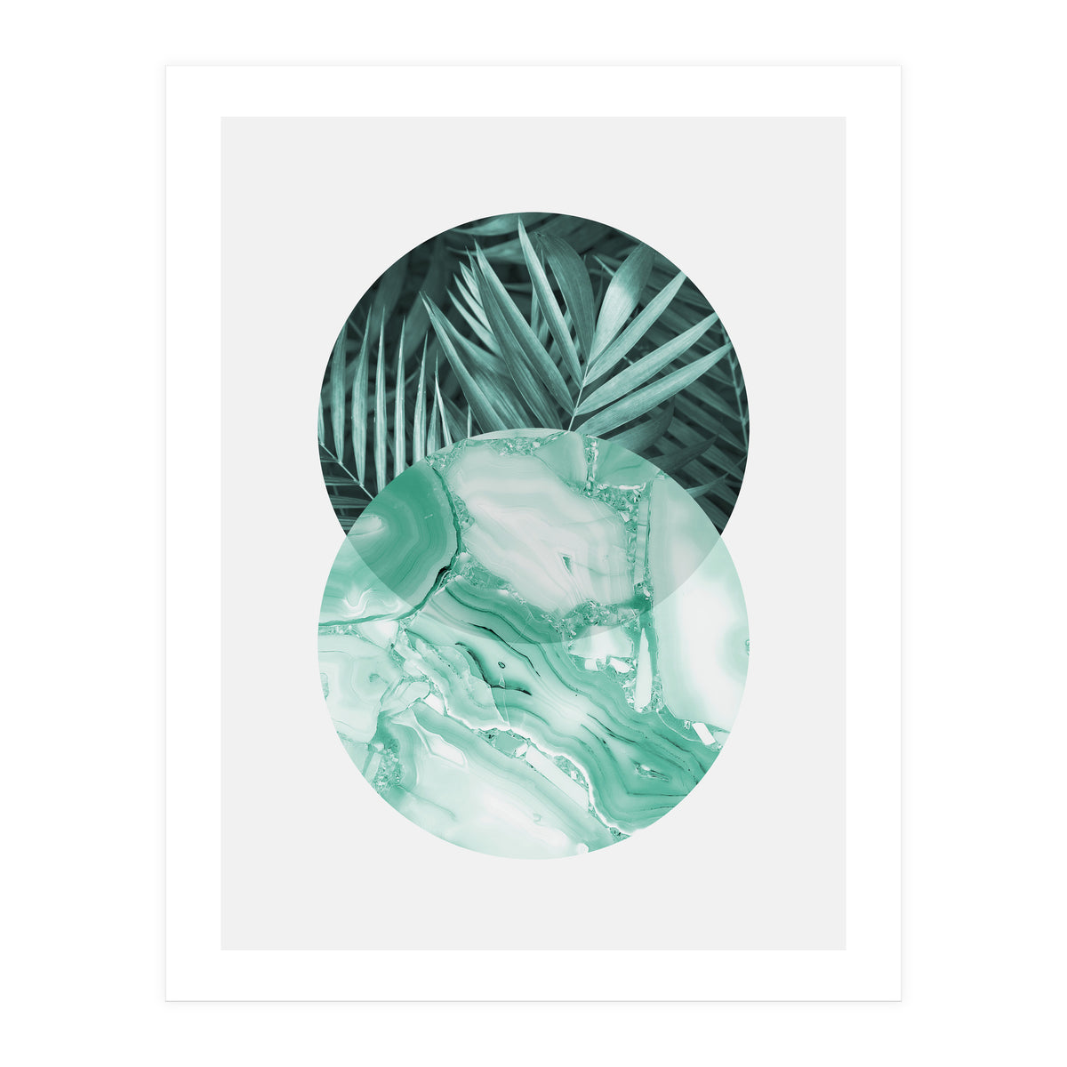 Botanical and geometric IV (Print Only)
