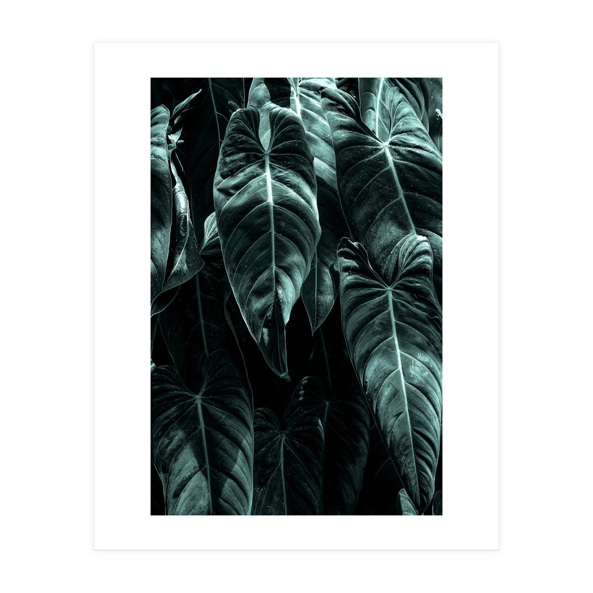 The Jungle (Print Only)