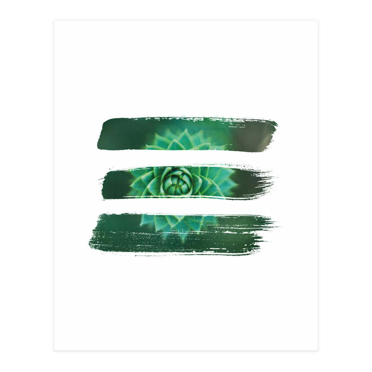 Modern Succulent I (Print Only)