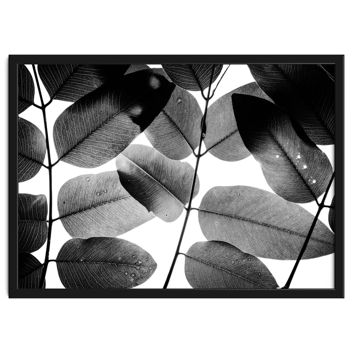 Experiments with Leaves II