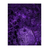 Deep purple (Print Only) thumbnail