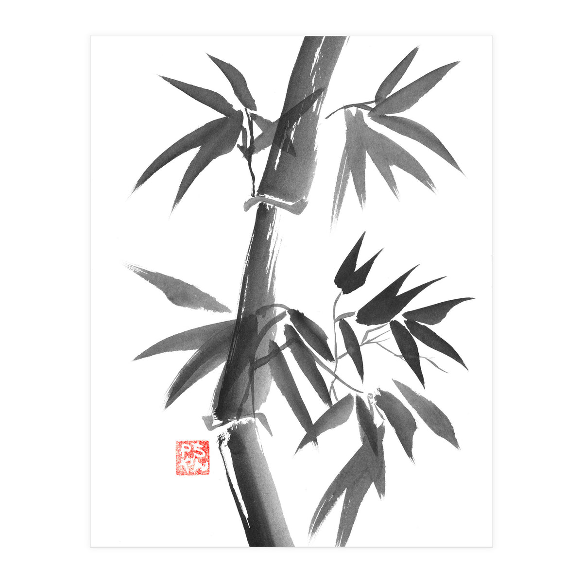 Bamboo 01 (Print Only)