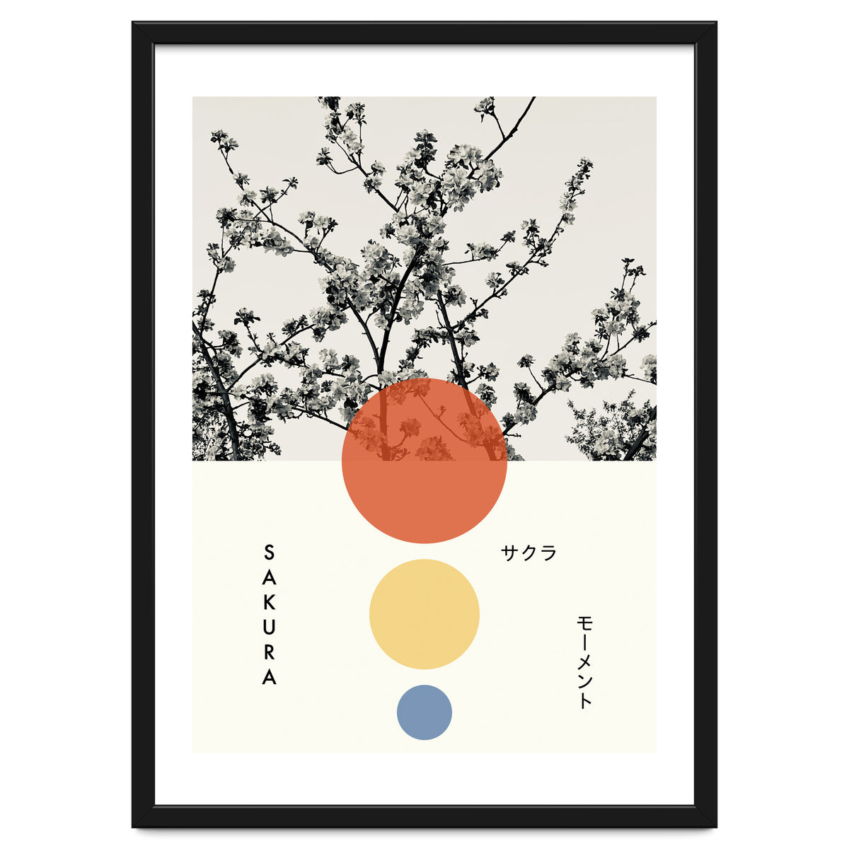 Sakura - Cherry blossom - Japanese - Photography