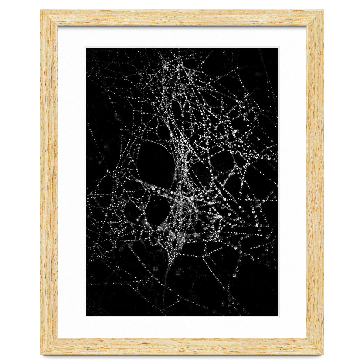 Spiderweb No 4