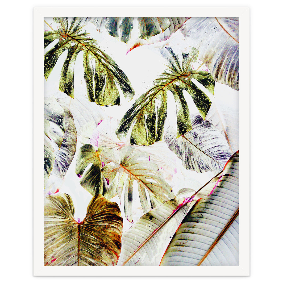 Vintage Tropica
