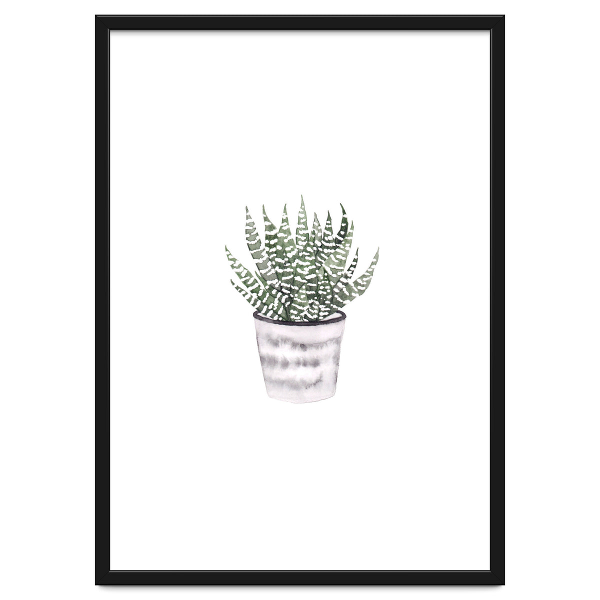 Potted Plant