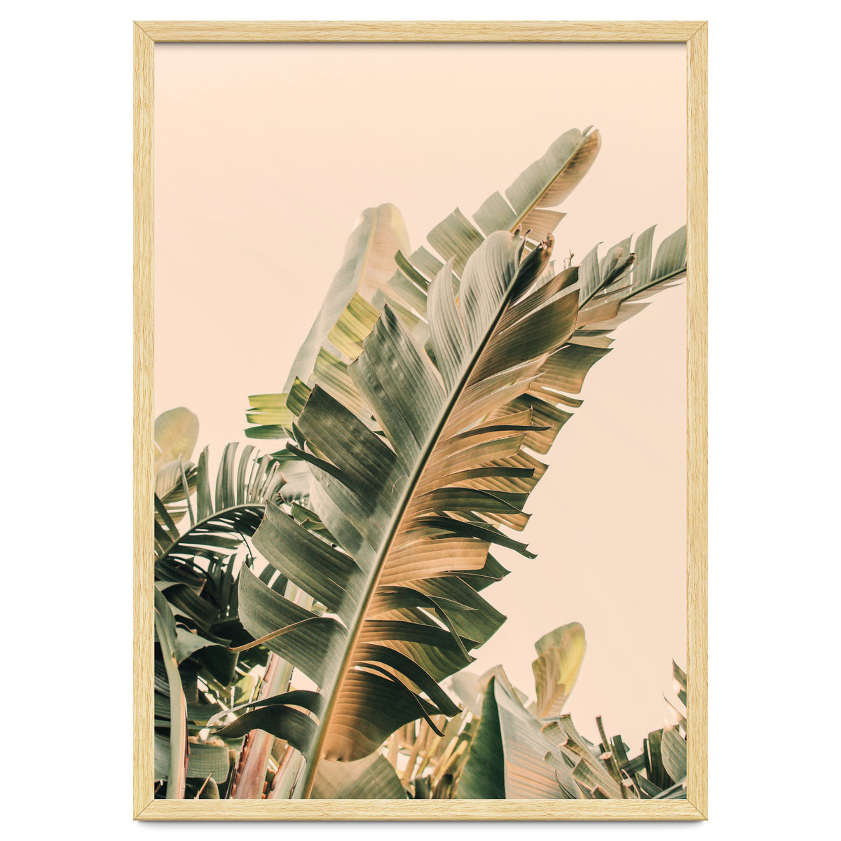 Growing Green Alicia Bock