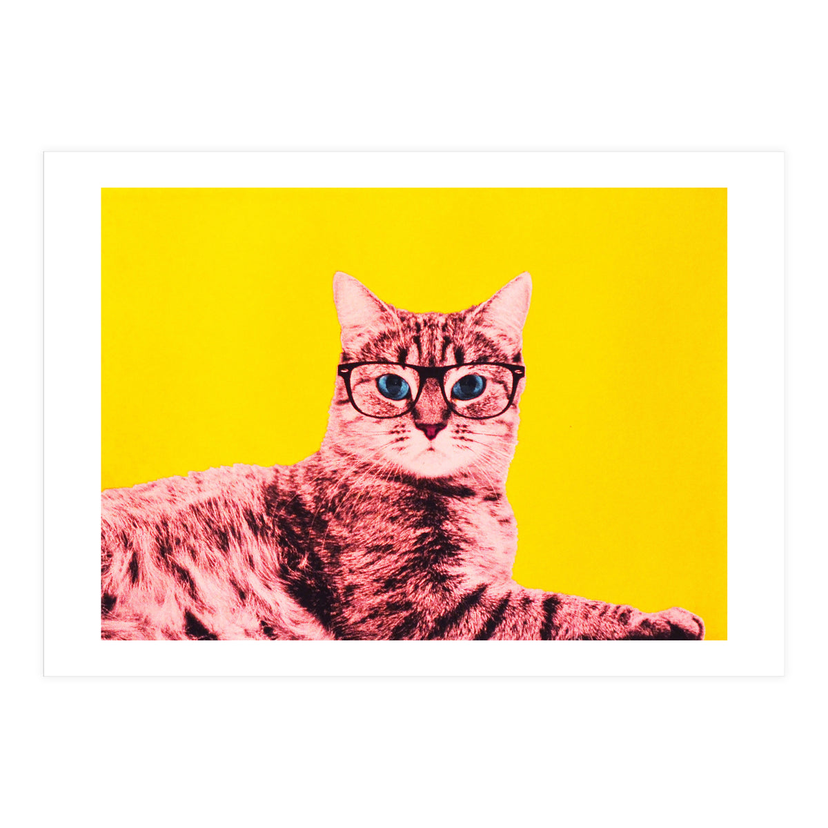 Life In Technicolor (Print Only)