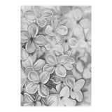 The Essence Of Spring in Monochrome (Print Only) thumbnail