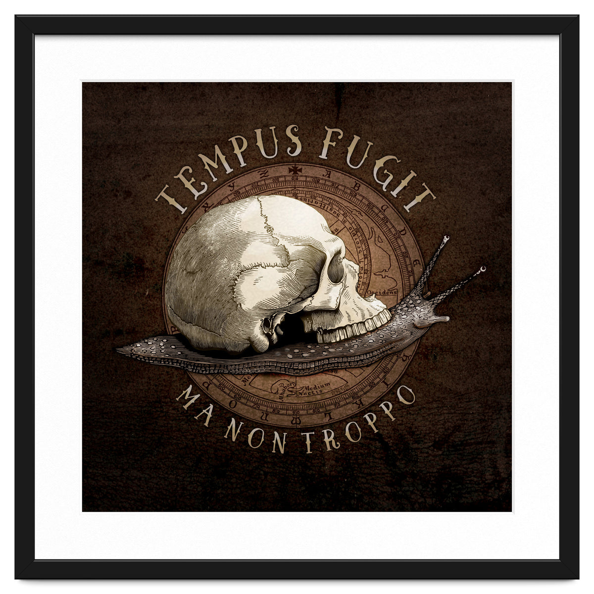 Tempus Fugit (ma non troppo)