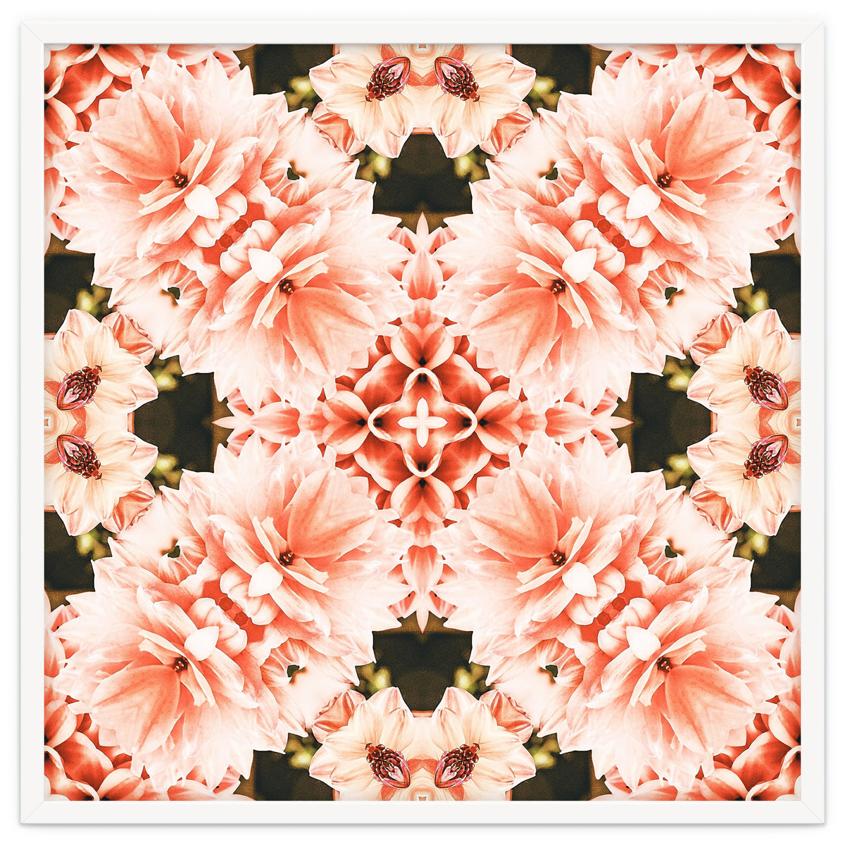 Blush Mandala