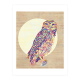 Owl (Print Only) thumbnail