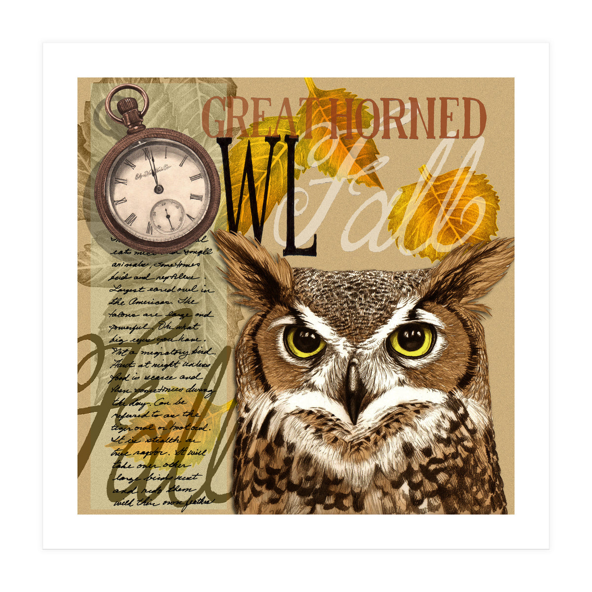 Great Horned Owl (Print Only)