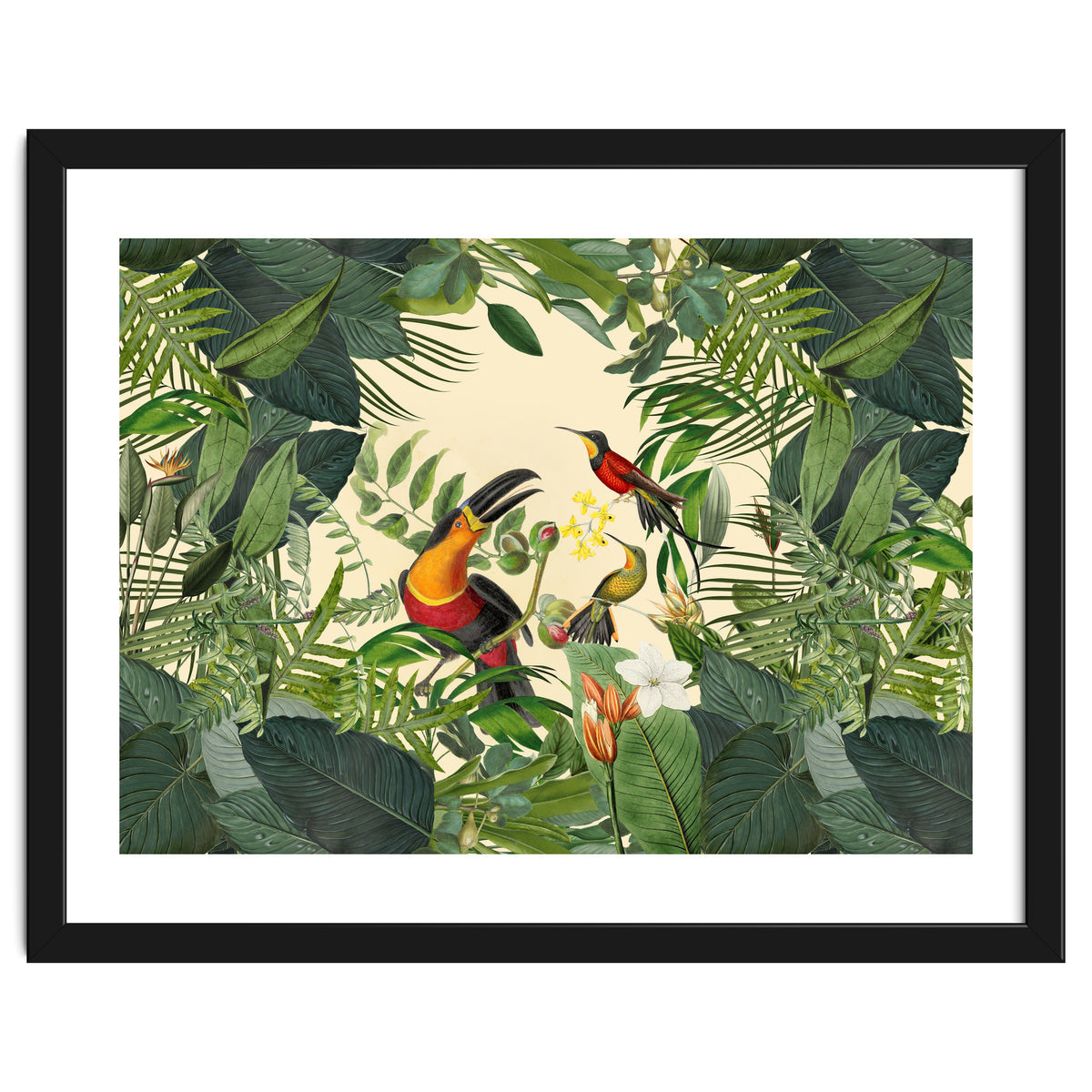 Green Jungle Toucans 2