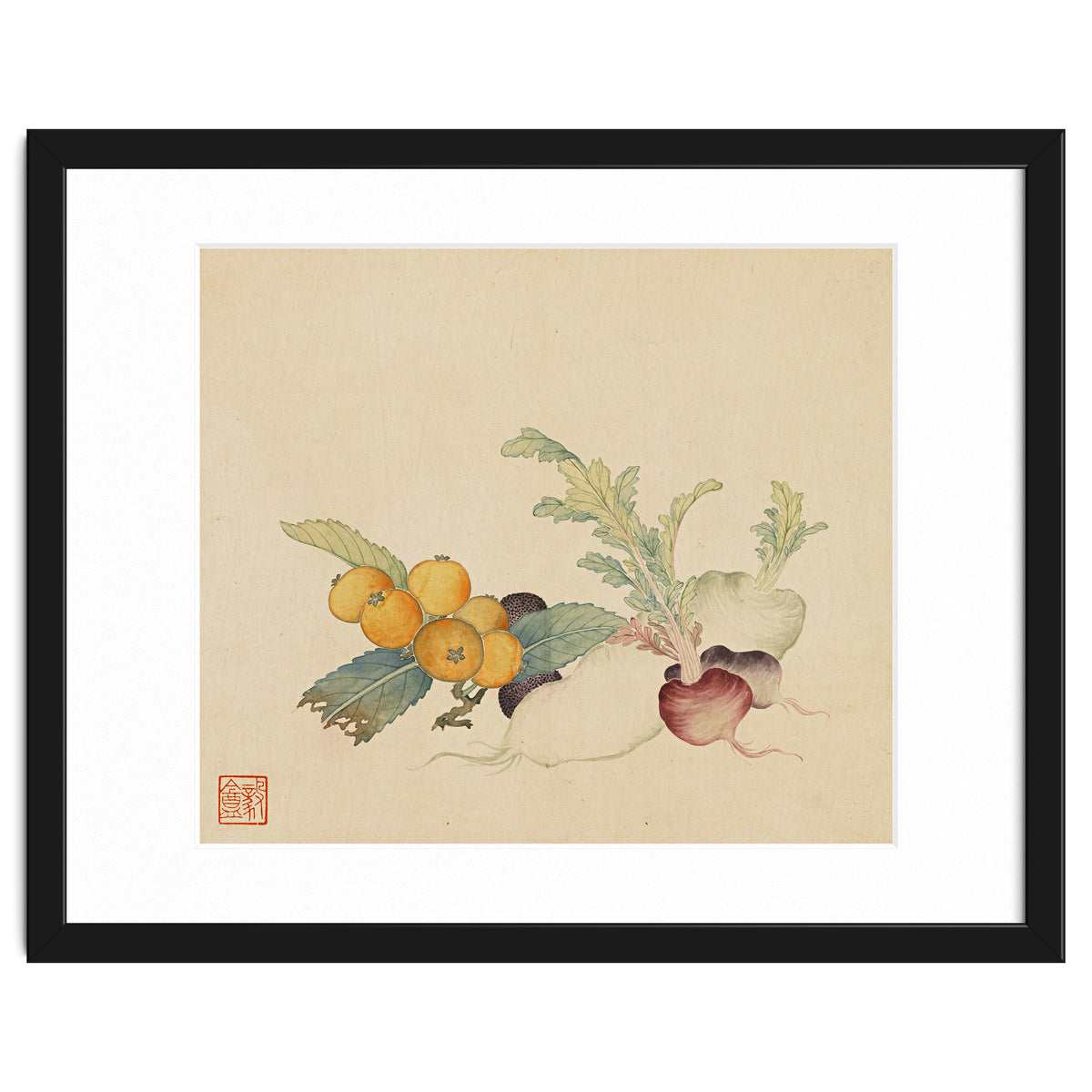 Wang Chengpi~flowers And Vegetables, Vegetables, Fruits, Loquat, White Radish, Carrot, Radish