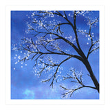 Tree in bloom  (Print Only) thumbnail