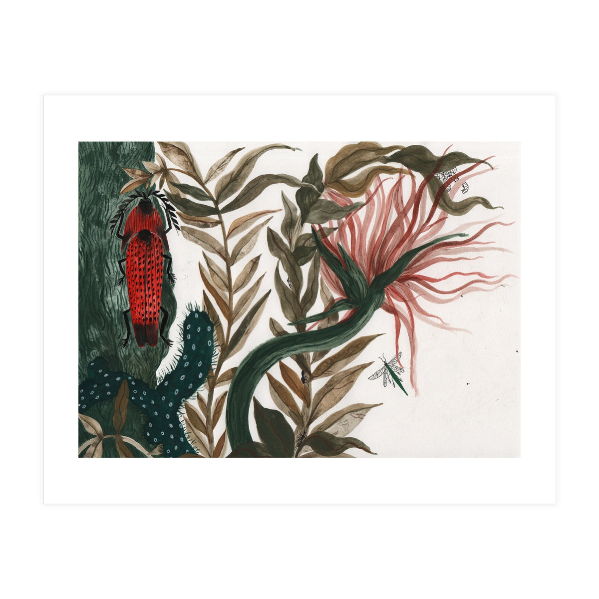 Insects (Print Only)