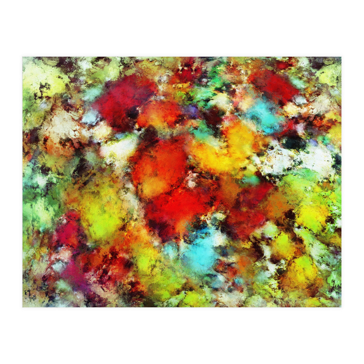 Expansion (Print Only)