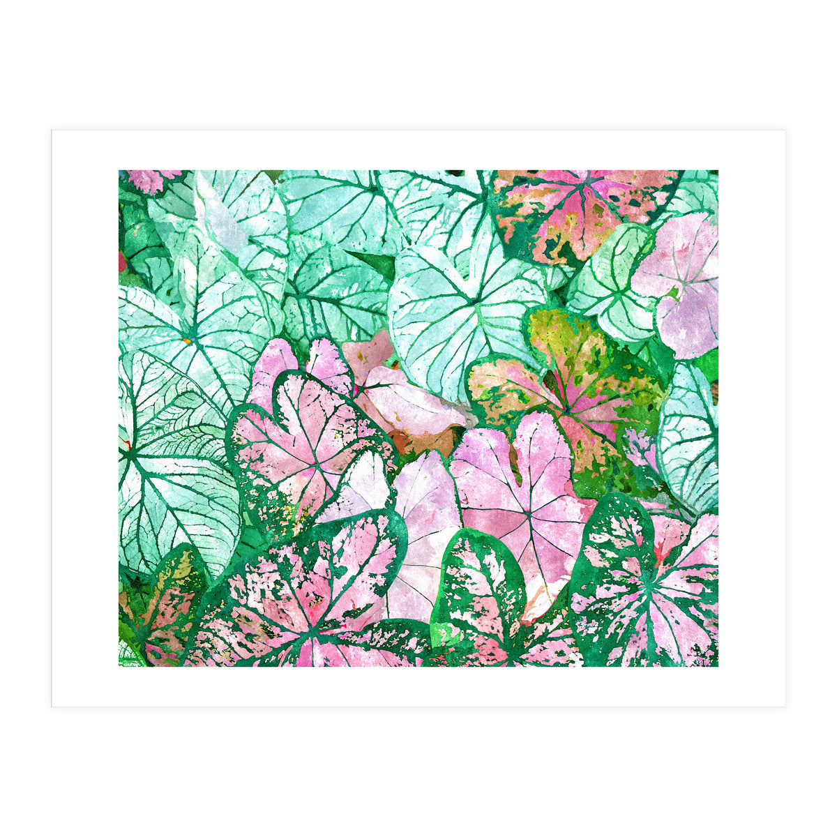 Rain & Nature (Print Only)