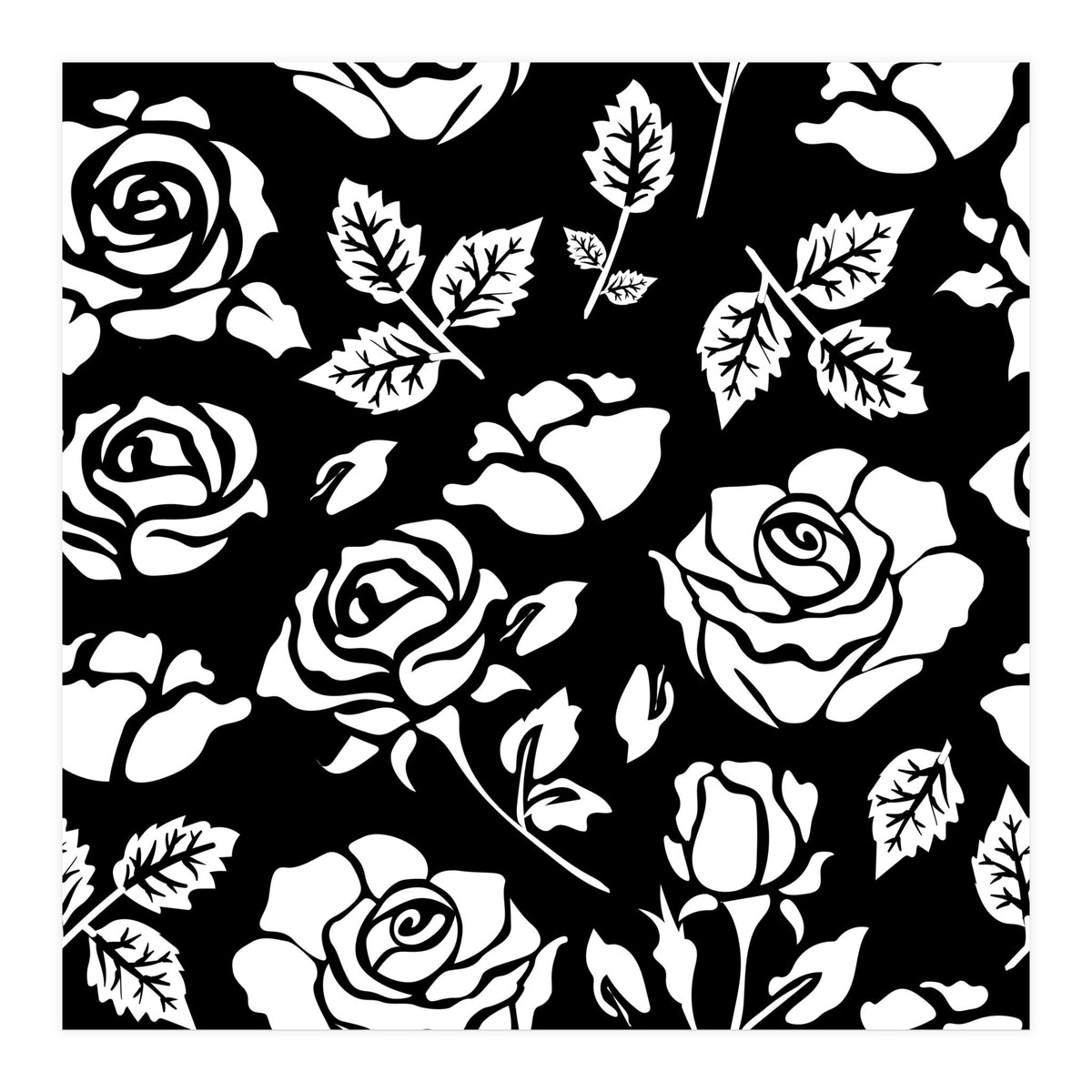 White Rose (Print Only)