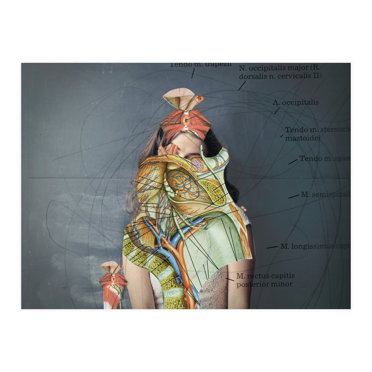 Crazy Woman 204 (Print Only)