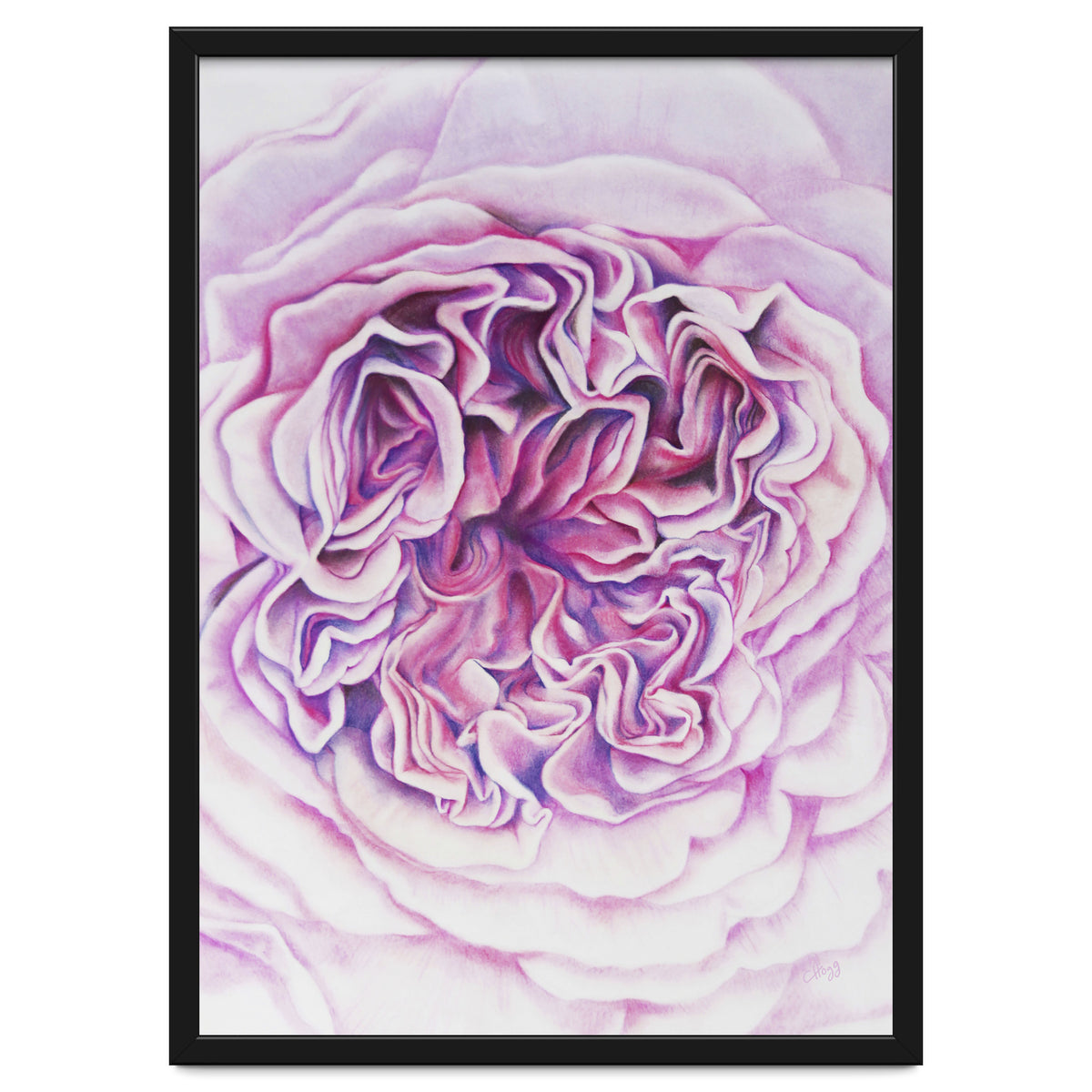 A Rose Is A Rose Std