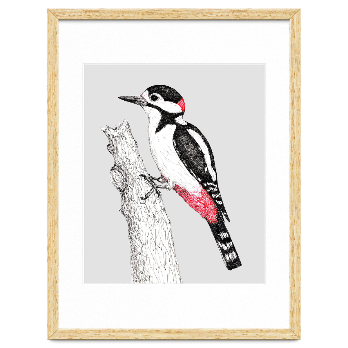 Great spotted woodpecker