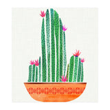Tiny Cactus Blossoms (Print Only) thumbnail