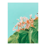 Carlie (Print Only) thumbnail