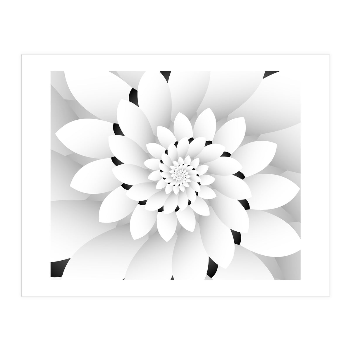 Monochrome Floral Design  (Print Only)