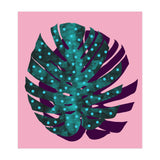 Monstera Deliciosa II (Print Only) thumbnail